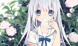 二次元动漫视频,一场视觉与情感的盛宴